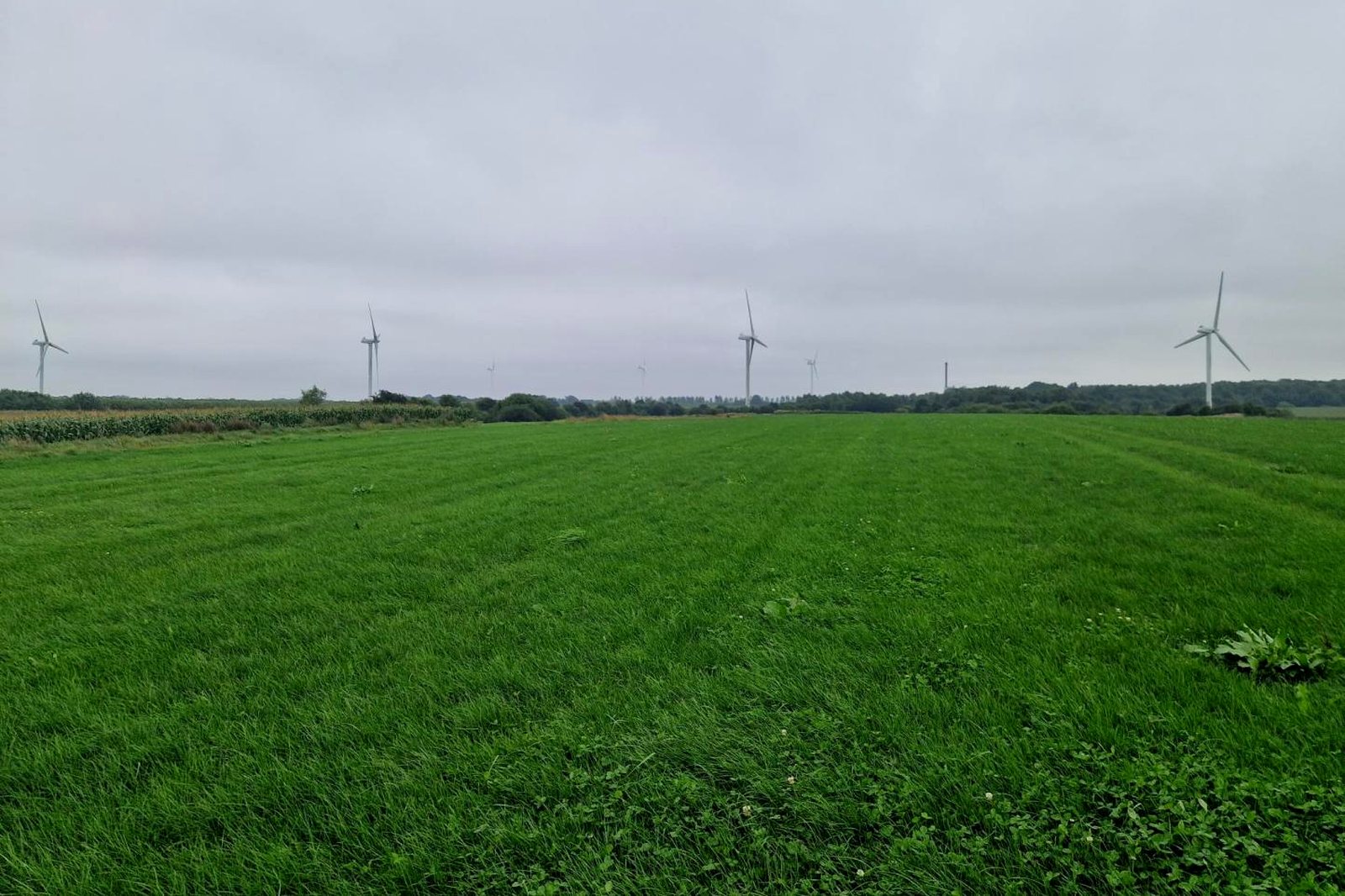 M&oslash;lleparken syd&oslash;st for Vinderup set fra marken ved Svendshedevej.